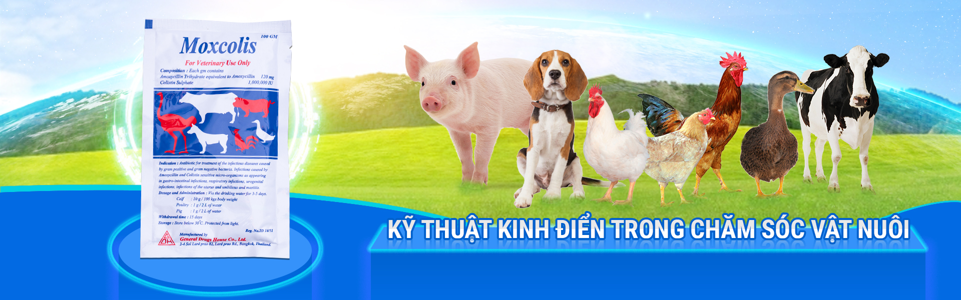 banner nhà thuốc alibaba